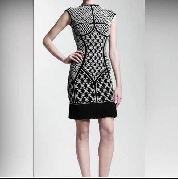 Alexander McQueen Jaquard Intarsia Dress - Picture 4 of 13
